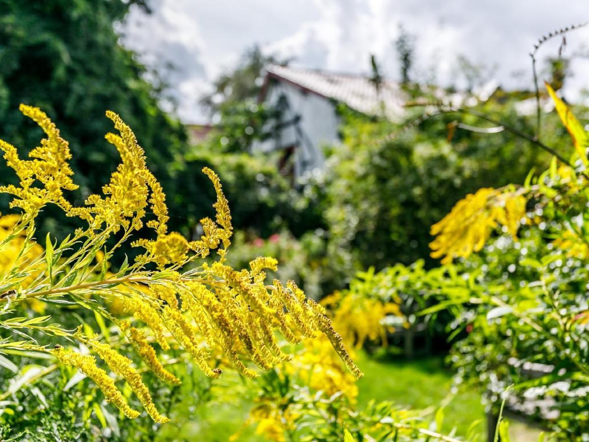 Kleebergerhofke Bed & Breakfast Mechelen Luaran gambar